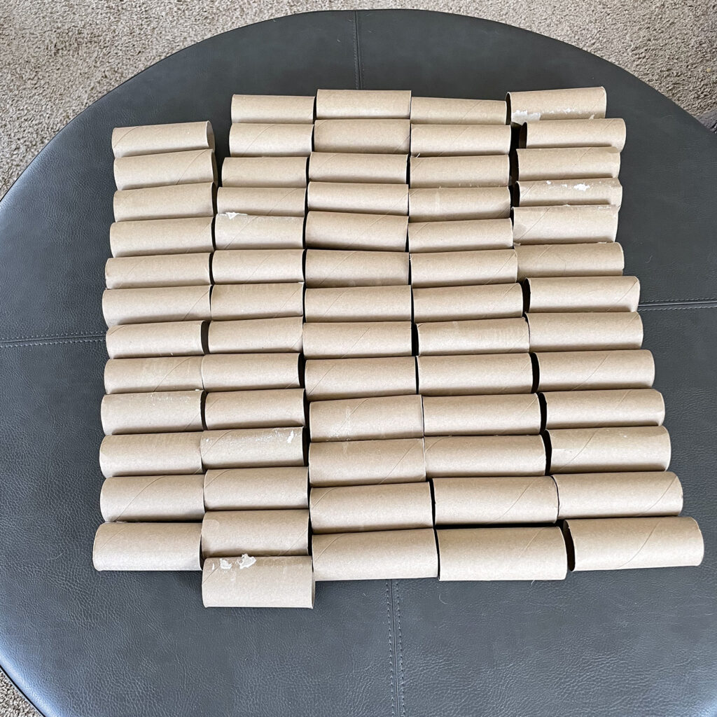 empty toilet paper rolls